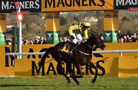 cheltenham racing bets